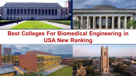 biomedical engineering colleges in ny