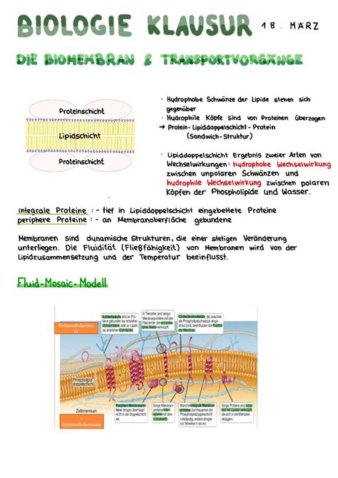 BIOMEMBRAN AUFBAU UND FUNKTION PDF