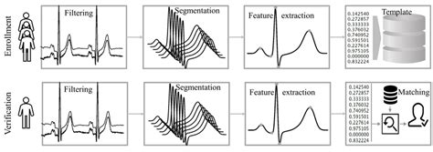 Biometric Feature Segmentation