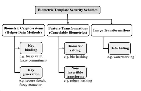 Biometric Template Security Challenges And Solutions