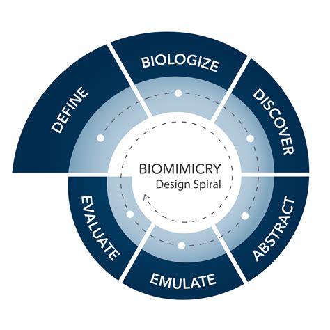 Biomimicry Design Challenge