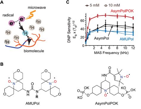 Biomolecular Complexes Def