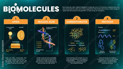 Biomolecular Definition