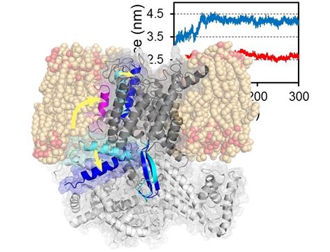Biomolecular Structure And Mechanisms