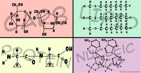 Biomolecules Formula