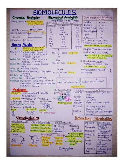 Biomolecules Grade 11 Module