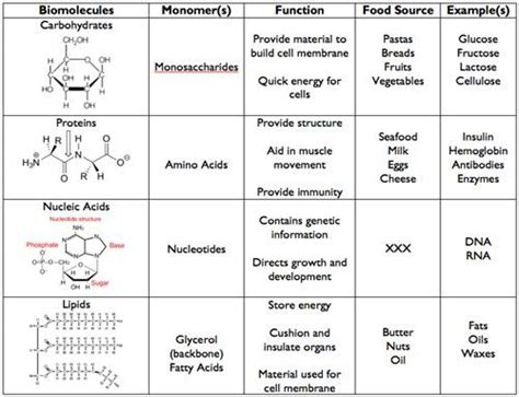 Biomolecules Macromolecules