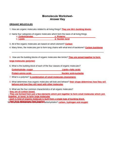Biomolecules Worksheet Answer Key Pdf