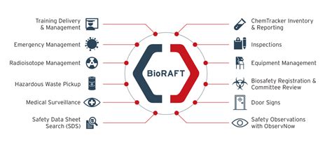 Bioraft Technology Advances
