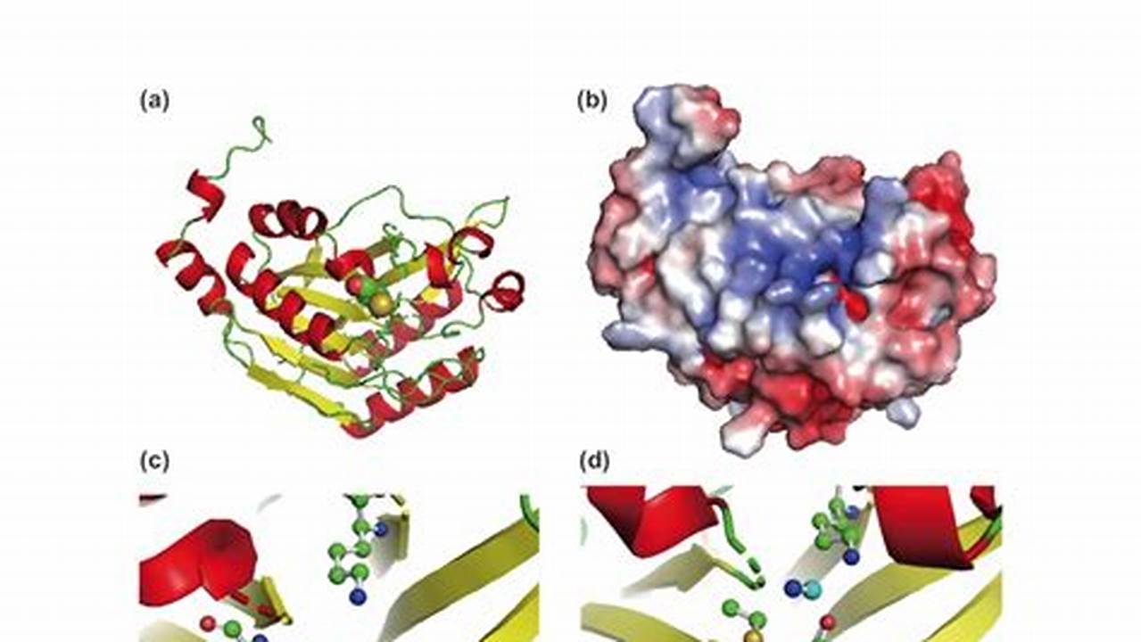 Unleashing the Power of Biotechnology Applied Biochemistry in Biotech