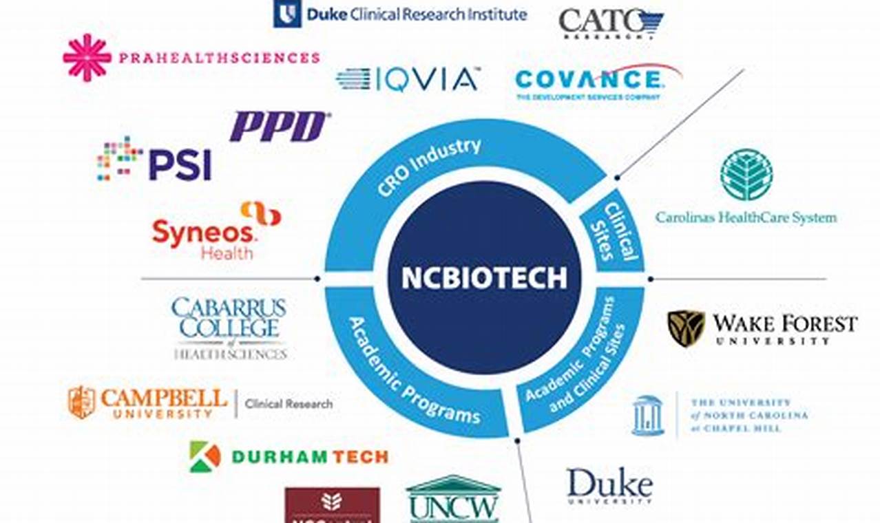 Accelerate Discovery: Biotechnology Contract Research for Breakthrough Innovations