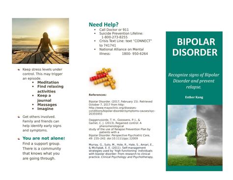 bipolar disorder information leaflet