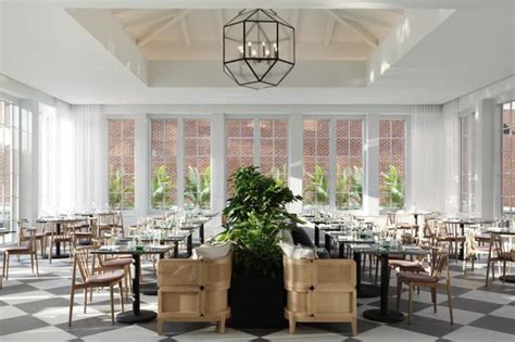 Unveil the Beauty of Birch and Bloom: A Blossoming Spring Journey