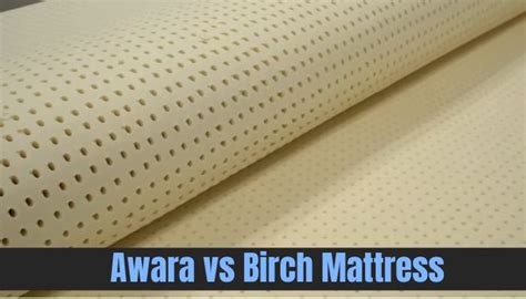 birch vs awara