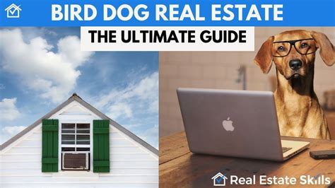 Bird Dog Real Estate: A Comprehensive Guide For 2023