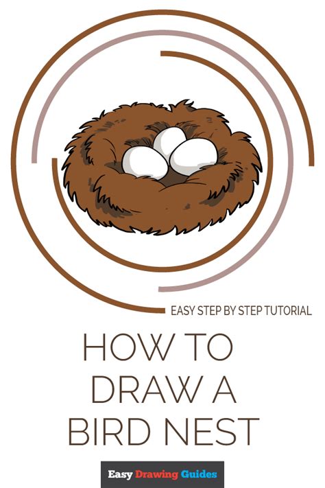 How to draw a bird nest/ Drawing step by step /Kids topic