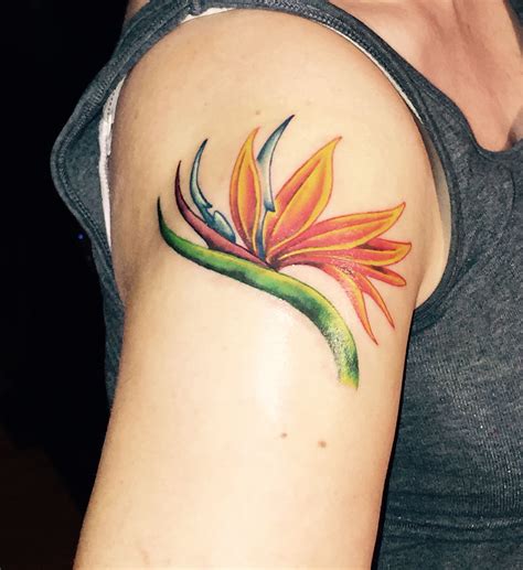 Awasome Bird Of Paradise Flower Tattoo Designs Ideas