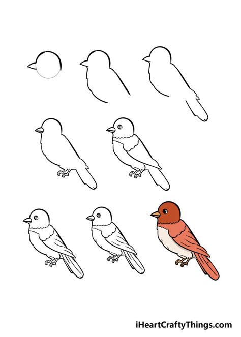 How To Draw Easy Animals Step By Step Image Guide Bird