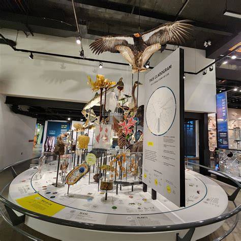 bird art museum