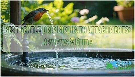 Bird Bath Attachments