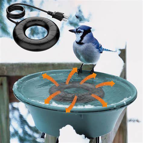 Discover 5 Insights bird bath heaters Your birds will thank you