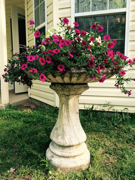 Bird Bath Ideas Flowers