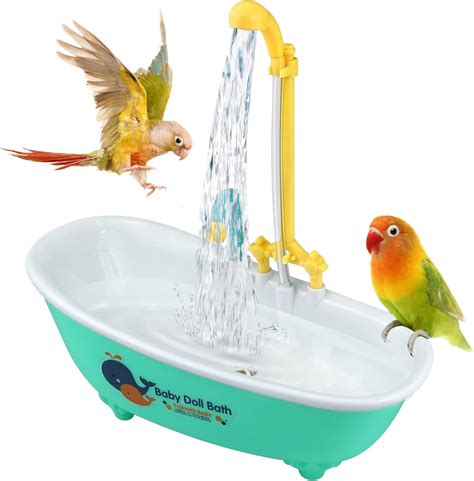 Bird Baths For Parakeets Prices