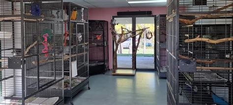 Bird Boarding Minneapolis