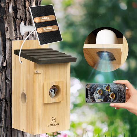 Bird Box With Camera Amazon