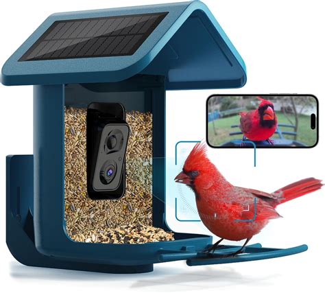 Bird Buddy Pro Bundle