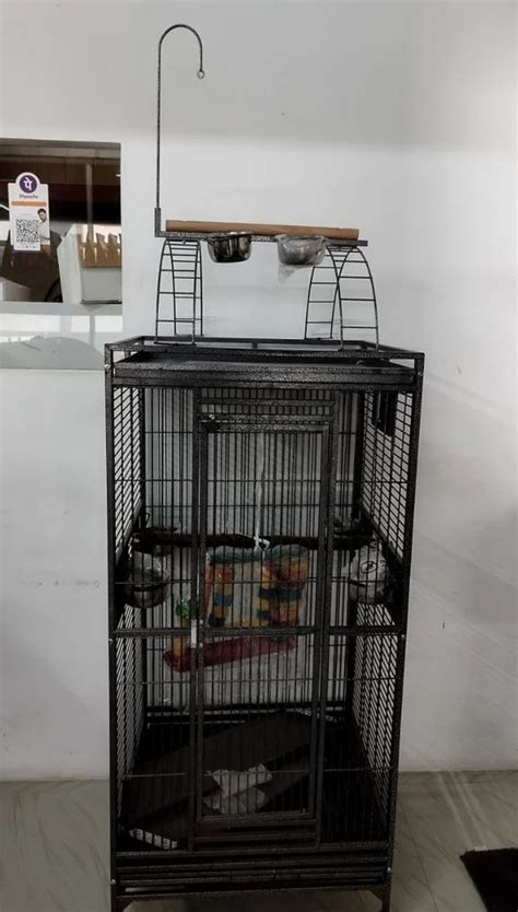 Bird Cage Indiamart