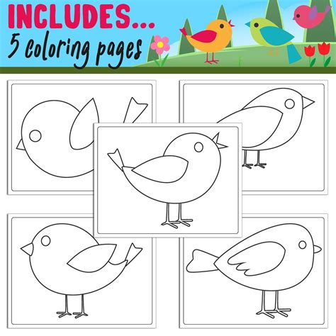 bird directed drawing
