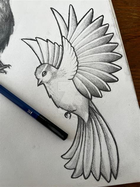 bird drawing hard