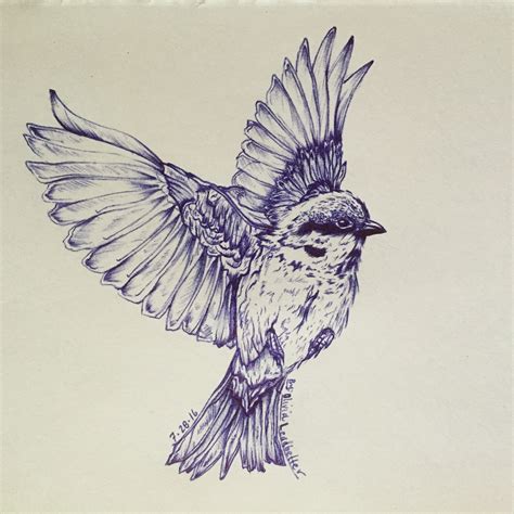 bird drawing pen