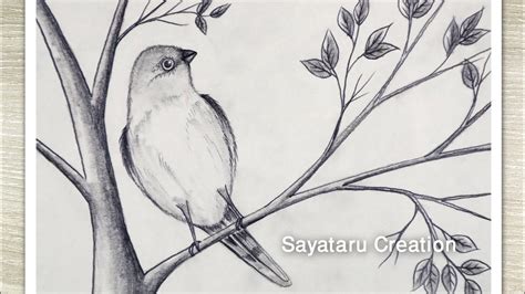bird drawing sitting on tree
