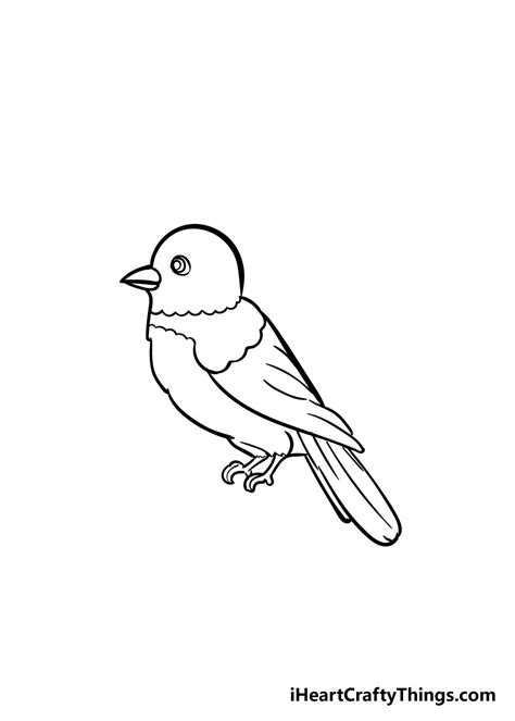 bird drawing small