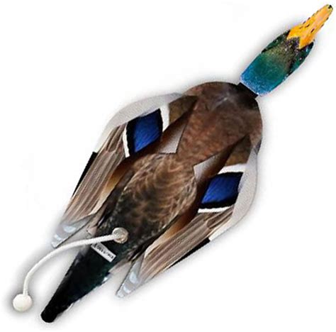 Bird Dummies For Dog Training