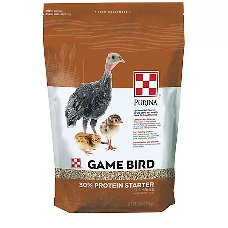 Bird Feed At Tractor Supply