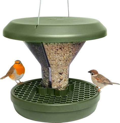 Bird Feeder Amazon