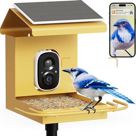 Bird Feeder Camera Video