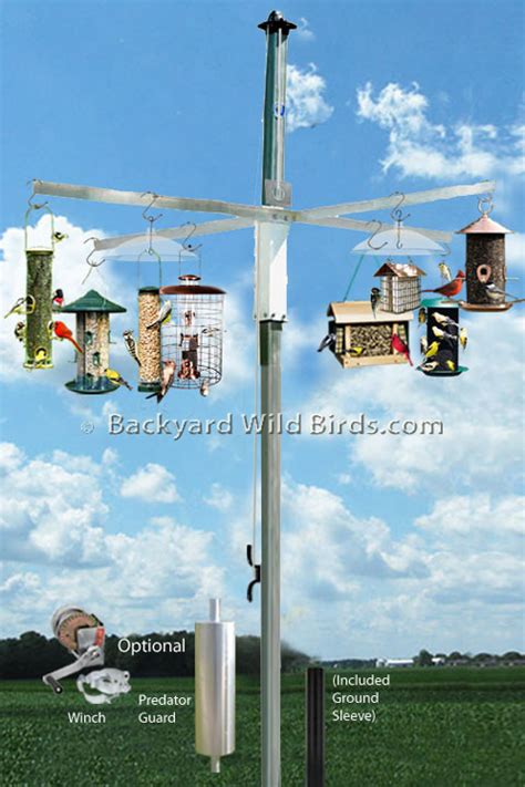 Bird Feeder Pole Location