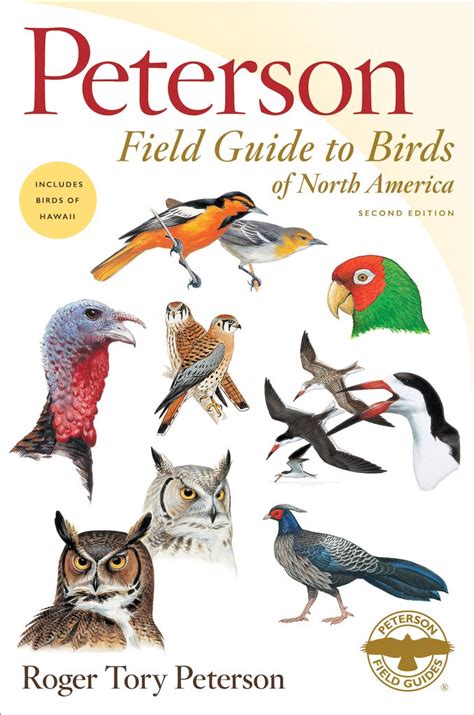 bird field guide book