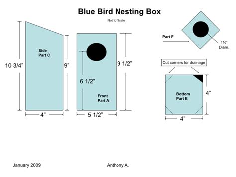 bird house plans for blue jays
