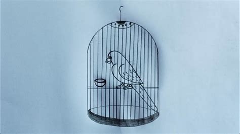 Bird Inside The Cage Drawing