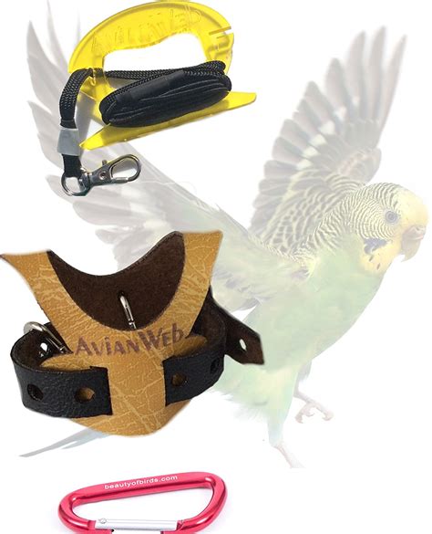 Bird Leash Petsmart
