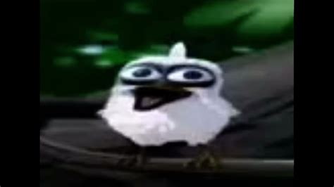 Panicked Screaming Bird Meme