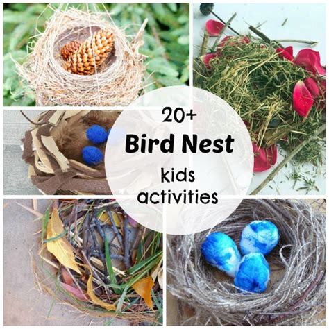 Bird Nest Activities