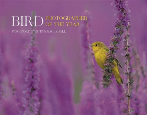 bird photographer of the year 2023 book