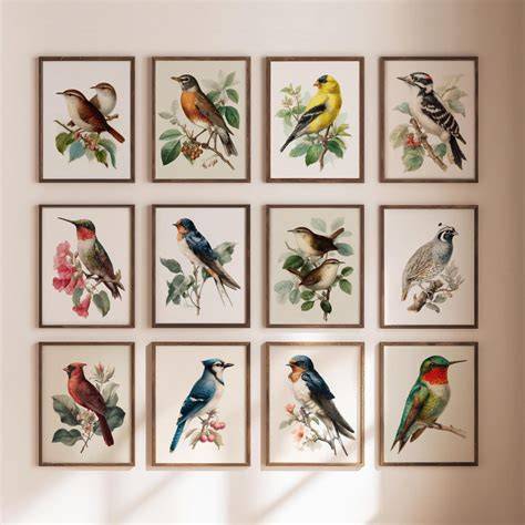 Bird pictures gallery wall