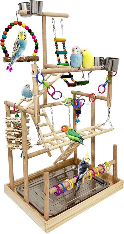 Bird Playground Amazon